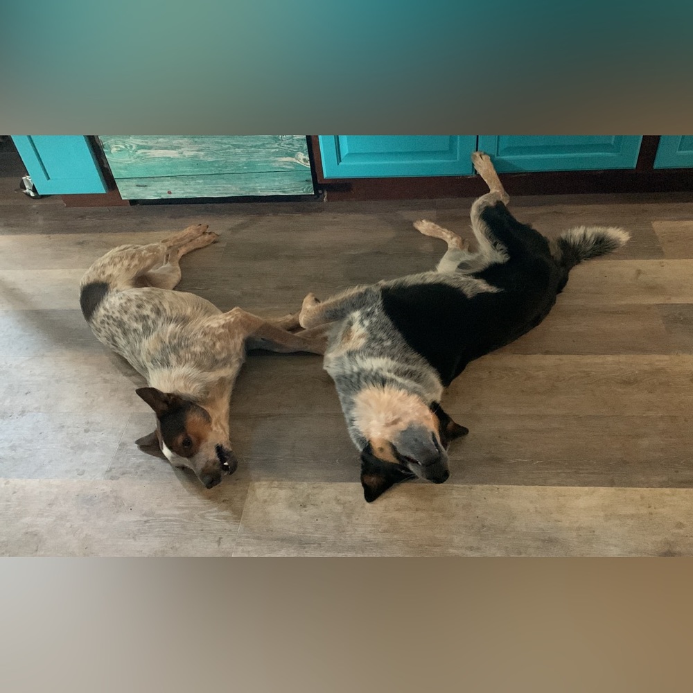 Guess what?!?! We are live live!!! - Picture 8 of 16